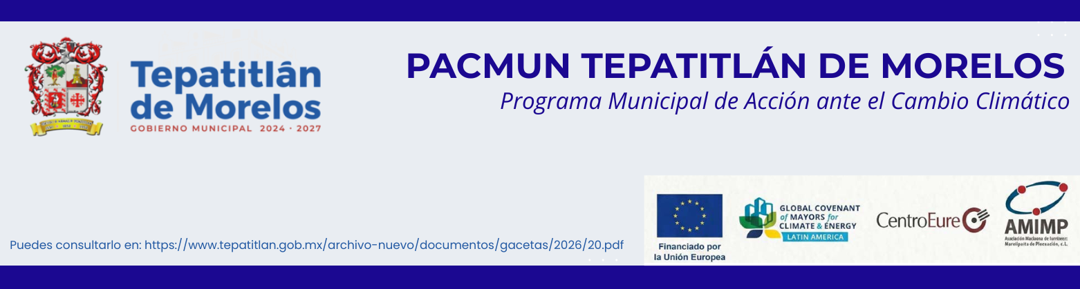 Plan Municipal de Desarrollo y Gobernanza